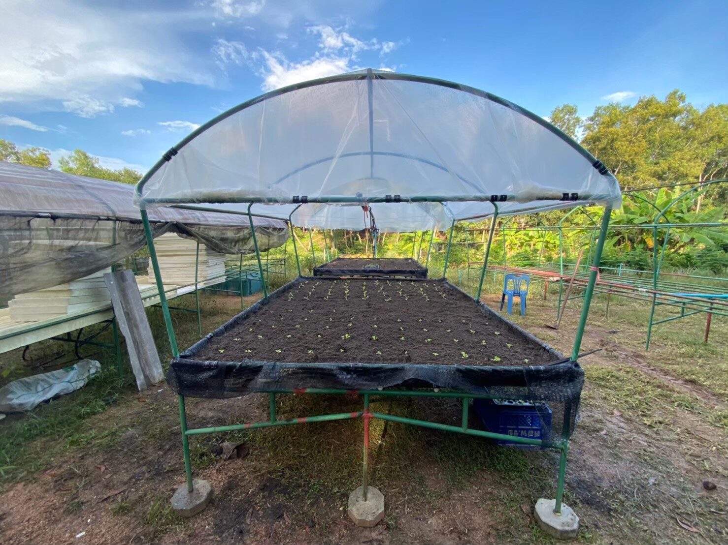 แคร่ปลูกผัก